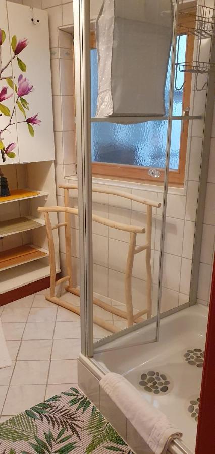 Ferienwohnung Vogl Mit Klimaanlage Und Kaminofen Viechtach Dış mekan fotoğraf